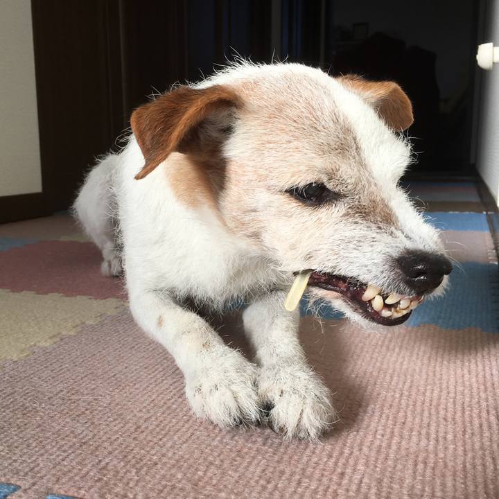 A16cf4fd 60d0 46e9 ba86 cd21f9d65b3d