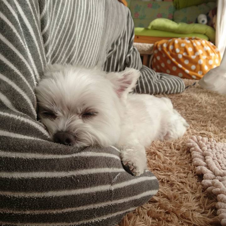 A16d1b37 3c1f 4c3a b544 cba2a7974883