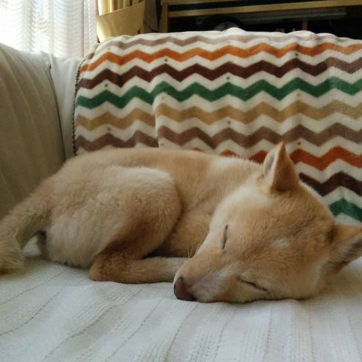 A16d406e 8f25 4df6 80d3 5855dc03f244