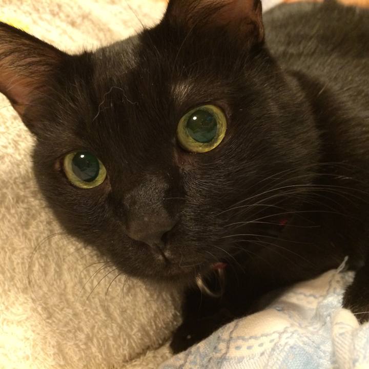 A16d9ea2 cf9e 44a1 b49d 7ab98ab624d7