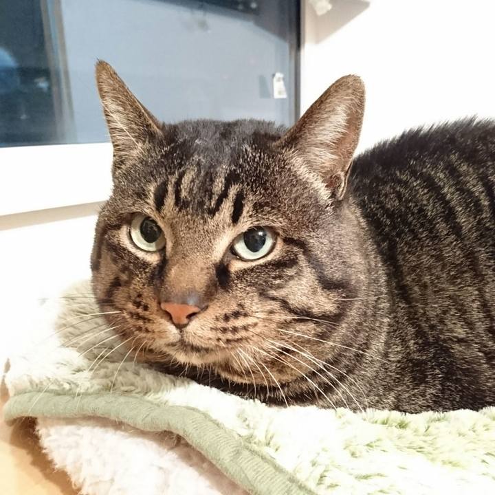 A16dd33a 0e68 46eb 8b05 5706865587ea