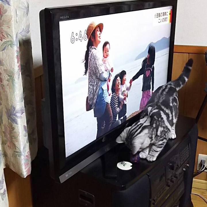 A16e7f1c 8b36 479e 8794 47b72b48a7d7