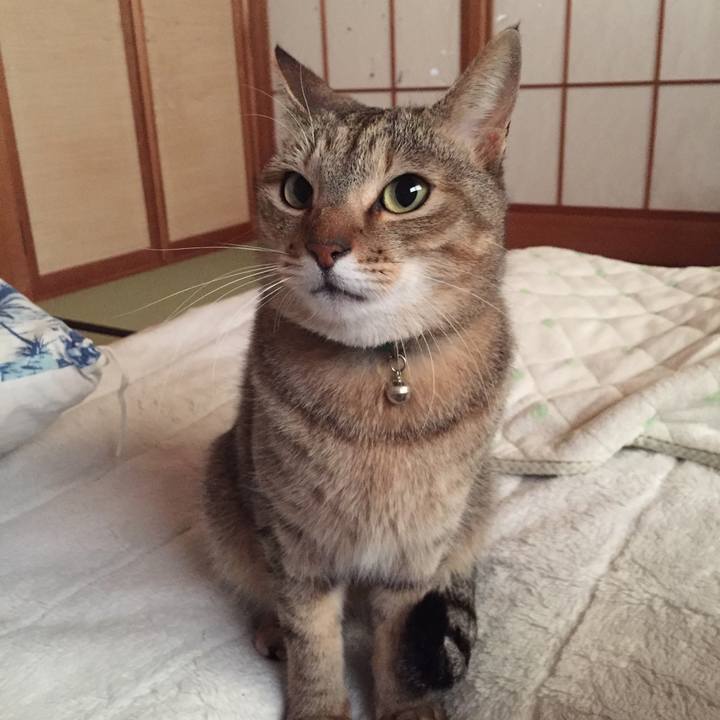 A16eb5ef 35d8 41cd 8c01 e09d1036bfe9