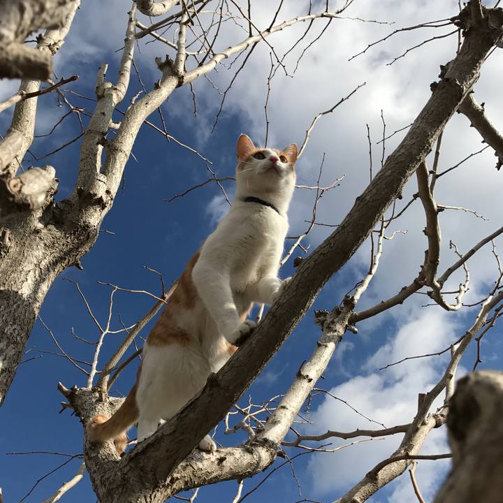 A16edceb 7008 4171 9c99 23d23b0a0863