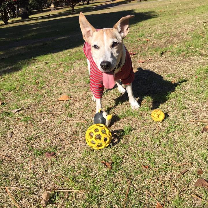 A1706027 6ea3 4862 af65 bee1013c5689