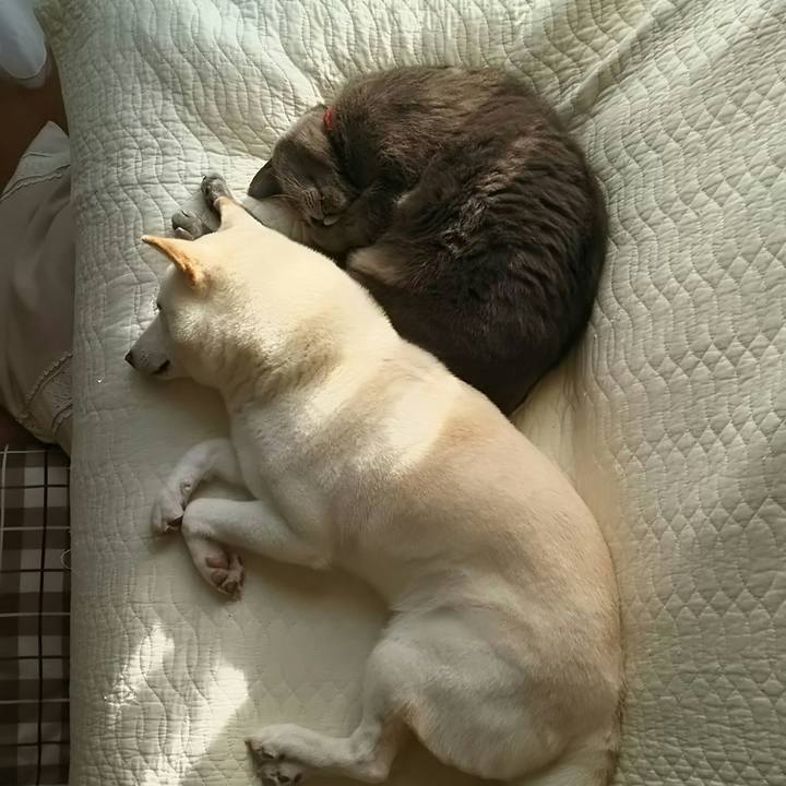 A170d492 4627 4d56 aaa9 e2b369dc91f1