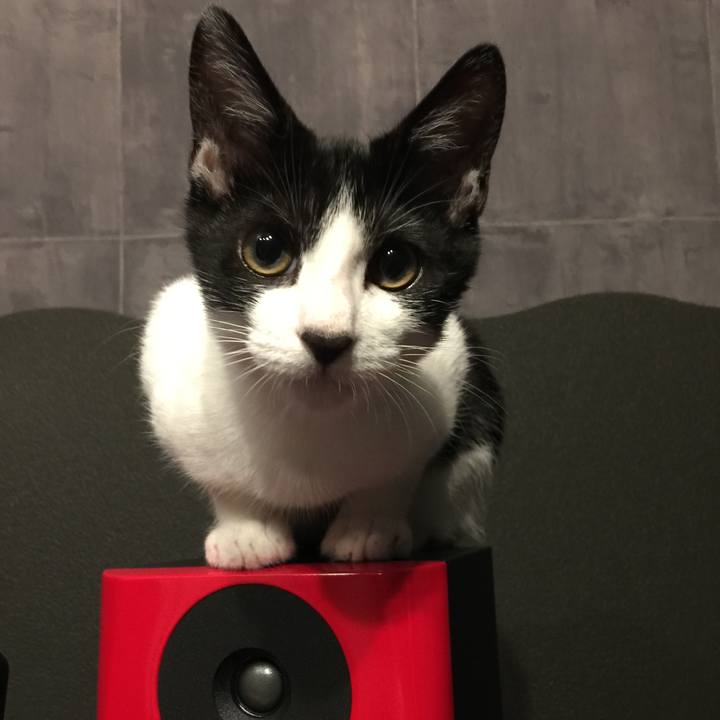 A170e5c0 d7c3 4741 95c2 8b36ee3c2f67