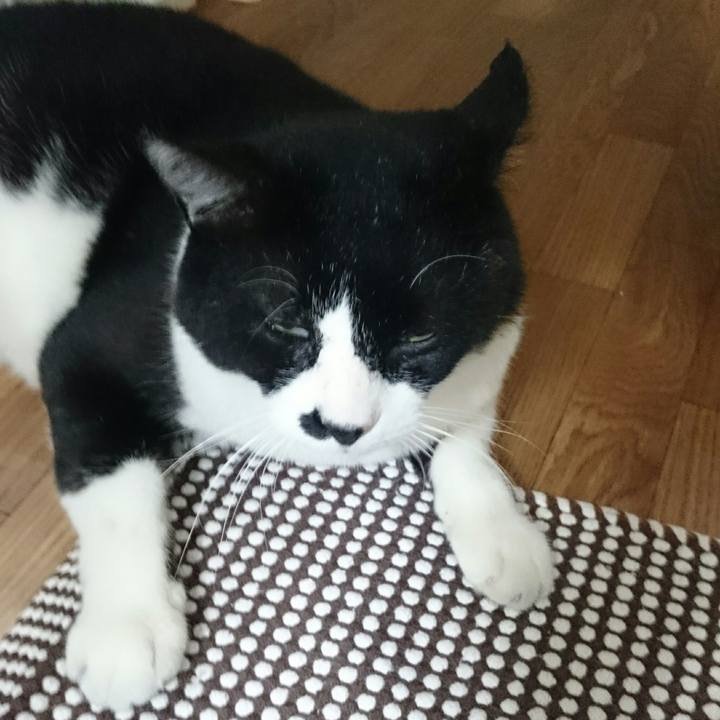 A1717ecc 457f 4b2b 8142 80822bc7114d