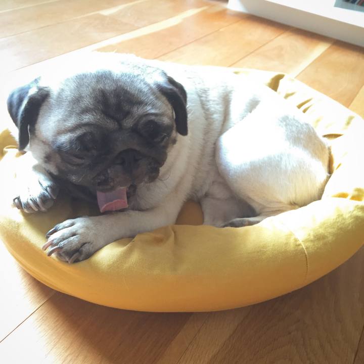 A1732ec1 b982 423d 88a0 fb4911c3f36c