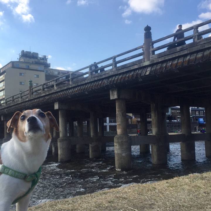 A1733f65 74f3 4c82 bf50 7e5599c1011d