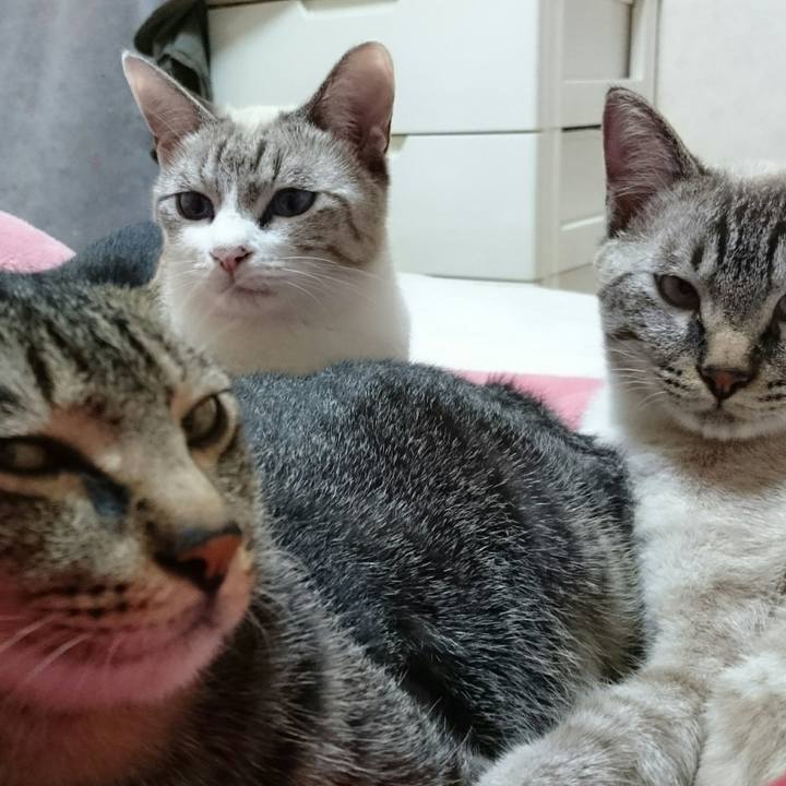 A173f720 48b7 462d 9369 1879dada6500