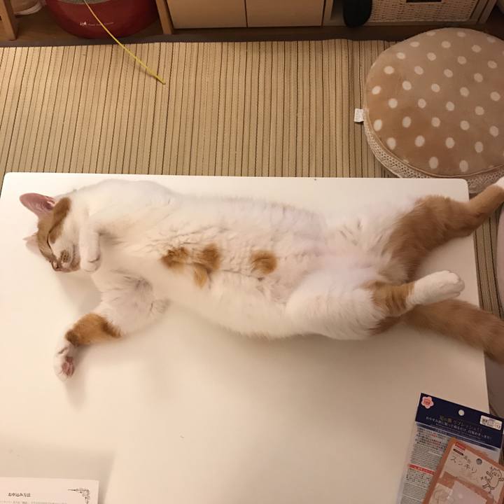 A1747f41 a3dc 4c3b ae26 940d9c70546f