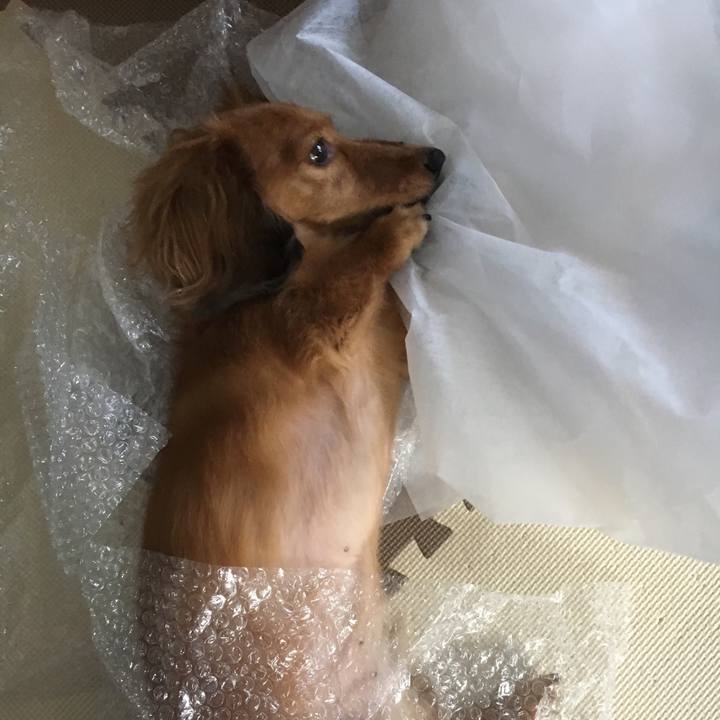 A1757265 3638 4f50 8b5c 58eb6886bd35