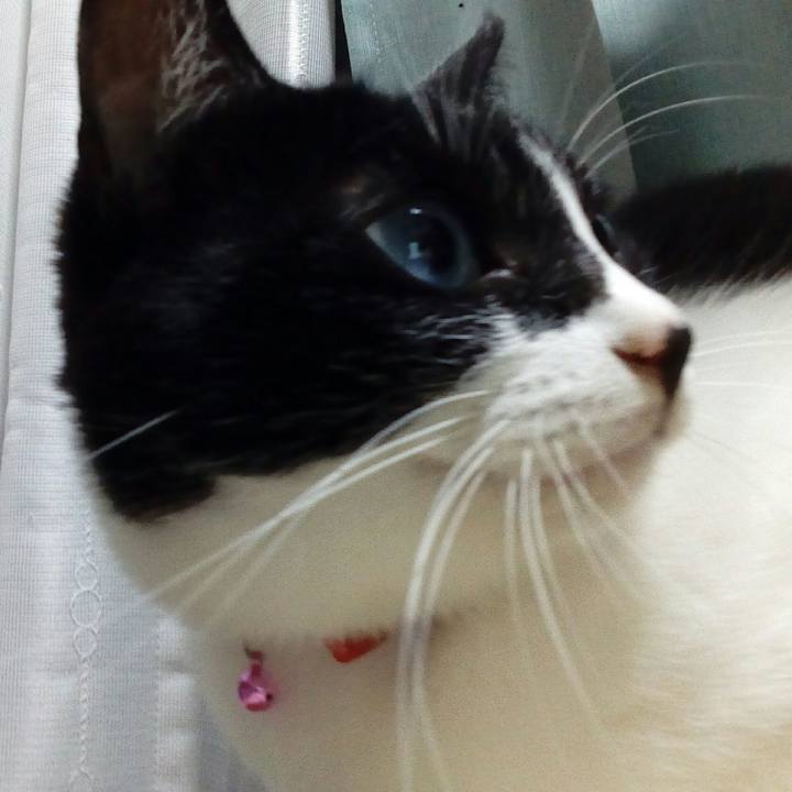 A175872c 905d 4a2d 80fe 9fab6d13de2c