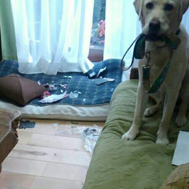 A1762dec 2d1c 45f5 8542 51caa9f85a00