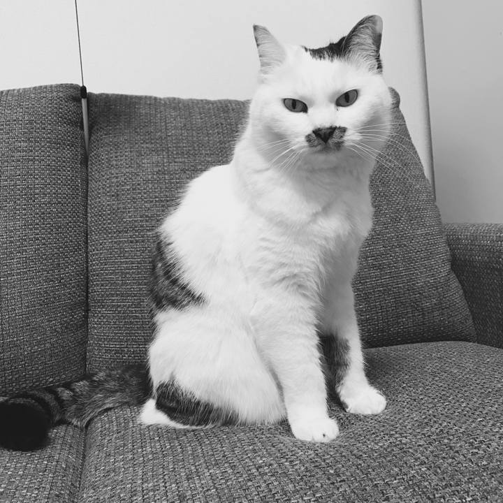 A1768f3c d892 4b8b aa87 830800ef02b0