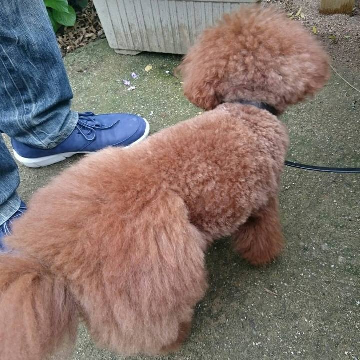 A176ab90 735a 4cd7 adf9 1e234ac2454d