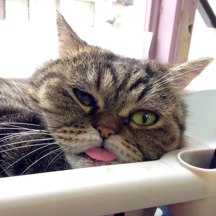 A177af4a 58cd 407f bec1 f71be9d25cdf