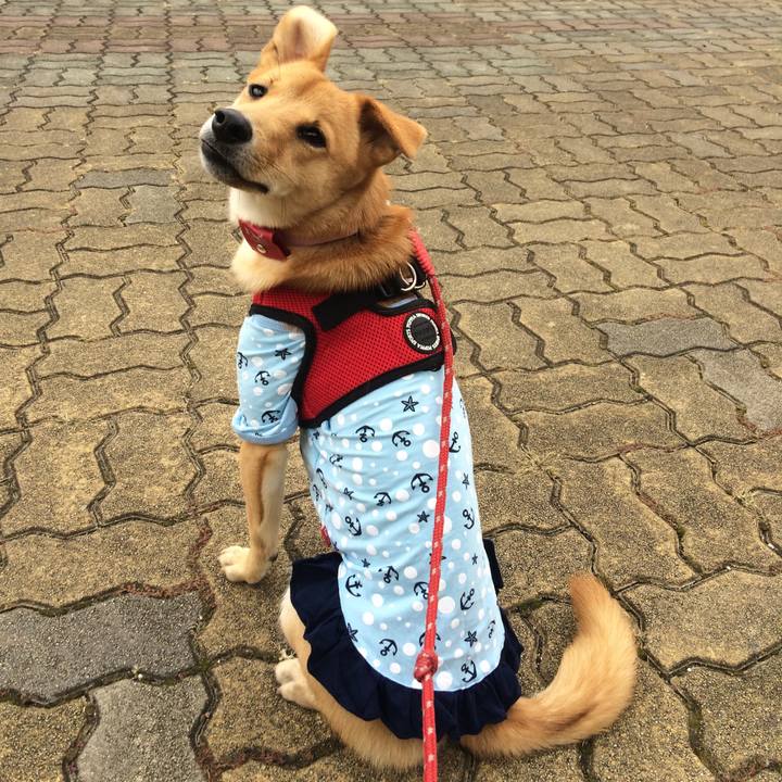 A177d466 f196 4ffb a88d 3757213fdb47