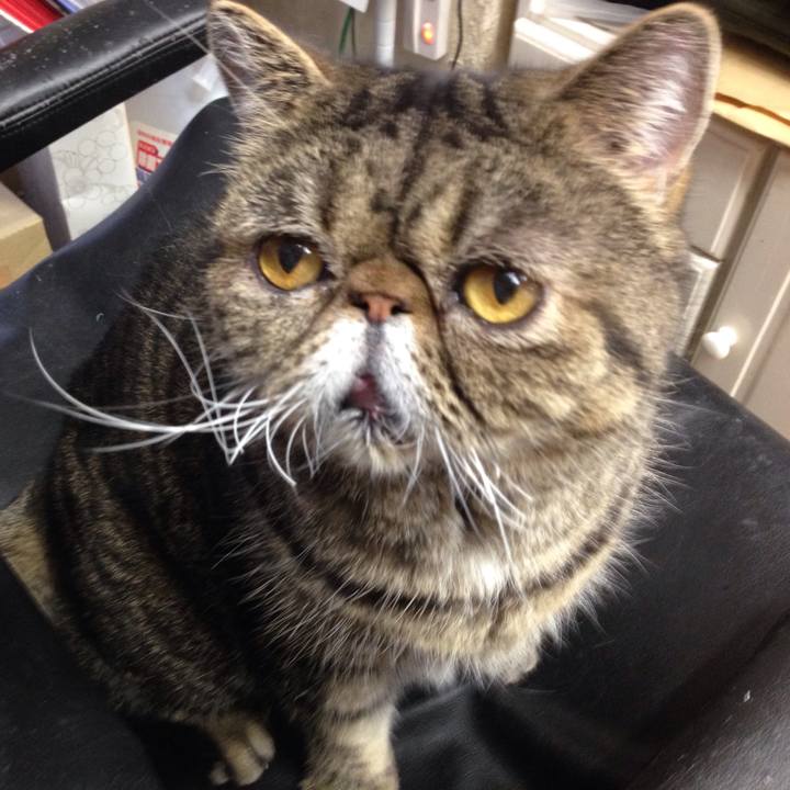 A178c557 69a4 4067 b6c4 dafc128c47bf