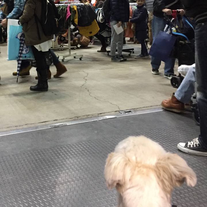 A178f827 f860 4e76 8539 5993b80fe6f4