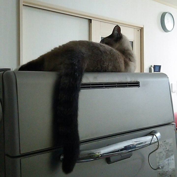 A17906bd 036f 4b2d aea1 6ff4aa03cea1