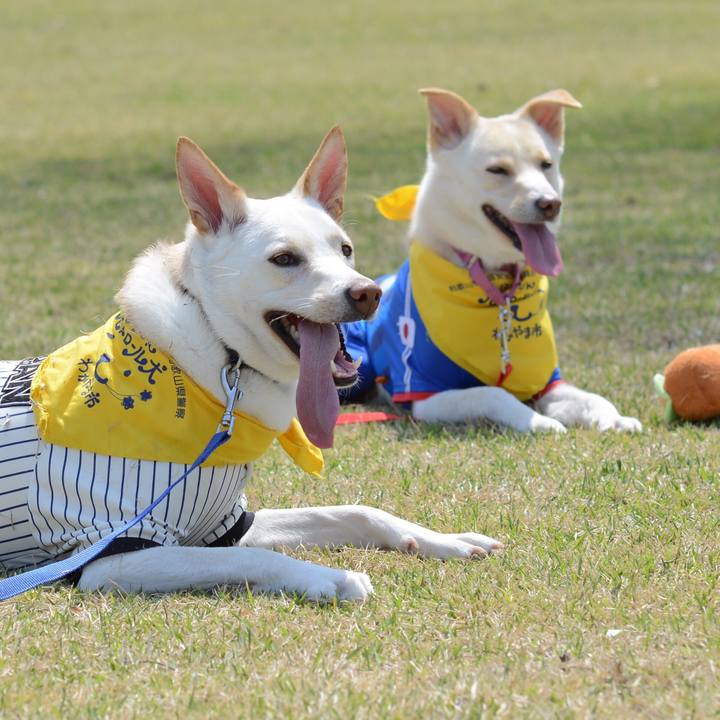 A17b8229 a4aa 4494 a8b0 36f148105b8c