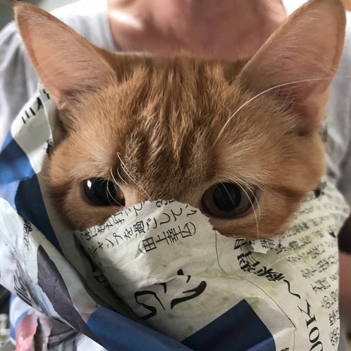 A17bc0d4 5696 4991 ae6e 06a6d45150b6