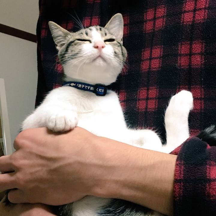 A17c6acc 44ef 4643 b808 b3918fbcb671