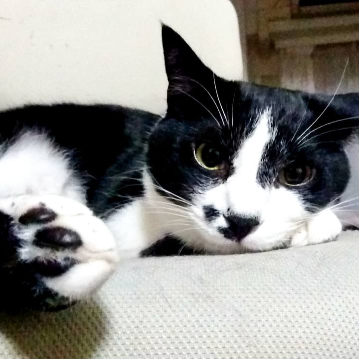 A17c91ce 6d41 4f83 b298 ec4118a94e0b