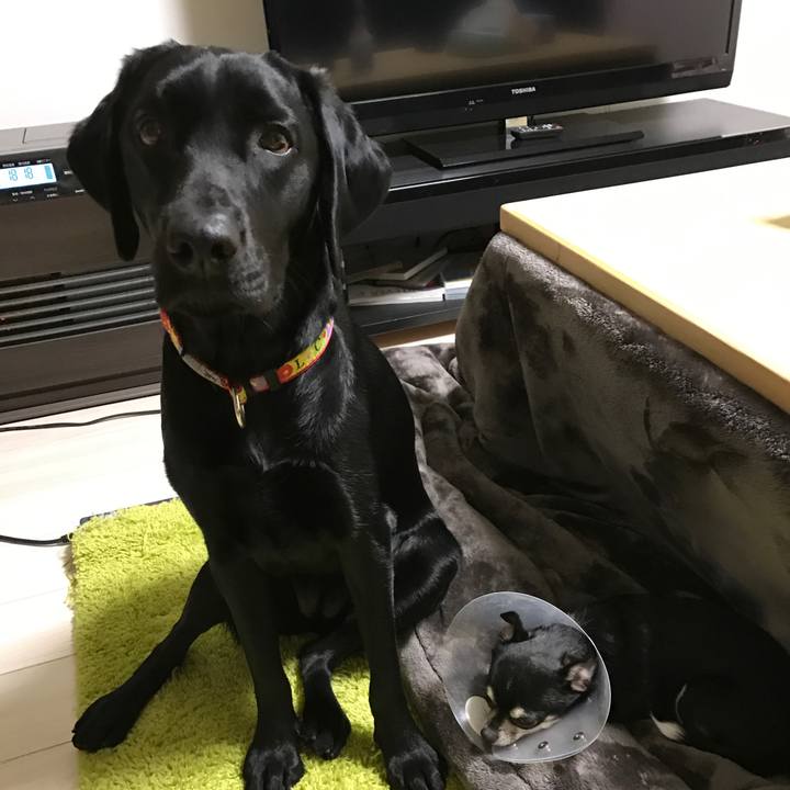 A17d8a27 feee 49dc ba51 052f242b3b54