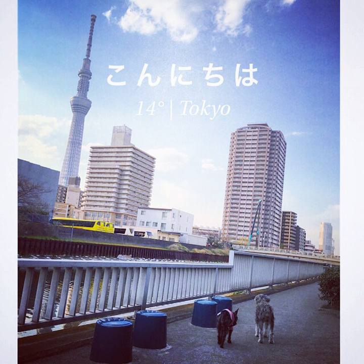 A17dc417 18c0 4438 8a37 6b3cb574a074