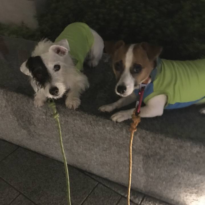 A17e3309 322e 4547 a1a9 436d0b65b774