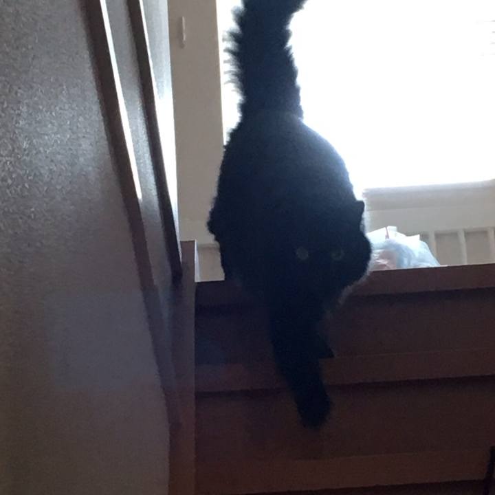 A17e36dd 1123 43a8 afeb 3af8b27ca2e4