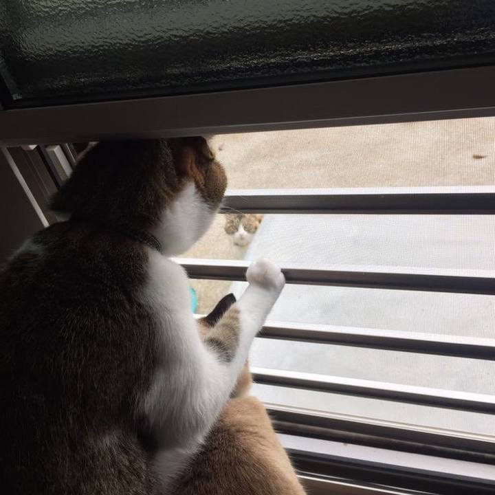 A17ea241 d997 409a aded 41f8dcd5a590