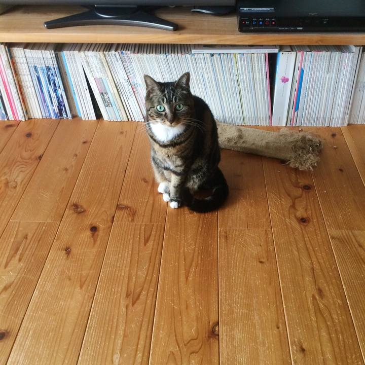 A17edca5 e37d 4fde bfdf 9de44c0f1ec9