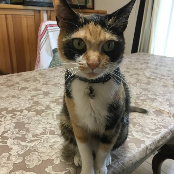 A17f5517 996e 43d2 9204 1b1bc482f06e