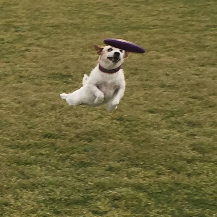 A18070a6 00fd 4ebb b31f 56860072fbd0