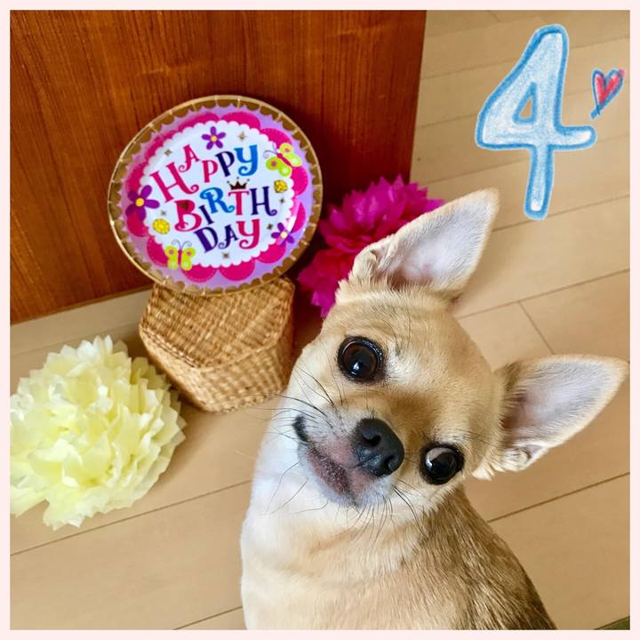 A18086d7 fa8b 4f34 854d cf54cef861a4