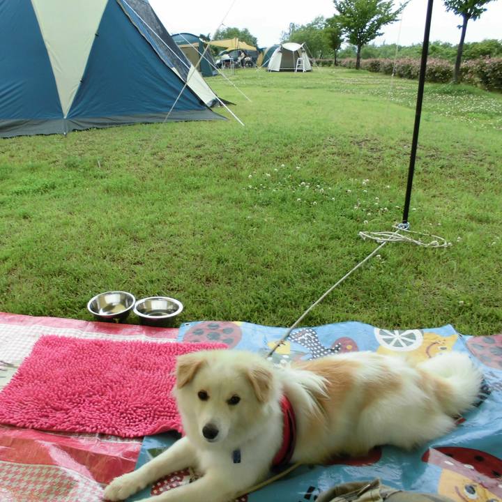 A180897c 0859 4b4d ac5a 82fbc3bcd7fd