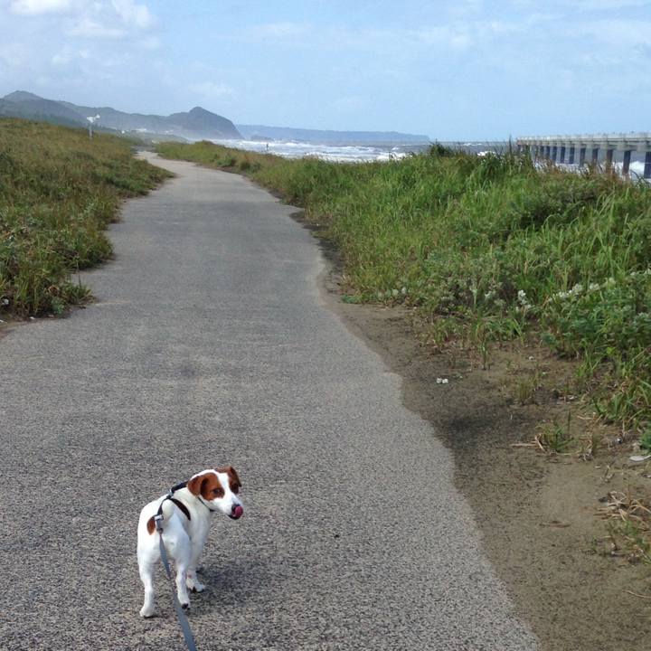 A180c109 1ce1 4e1a ab1b bcde6180d31b