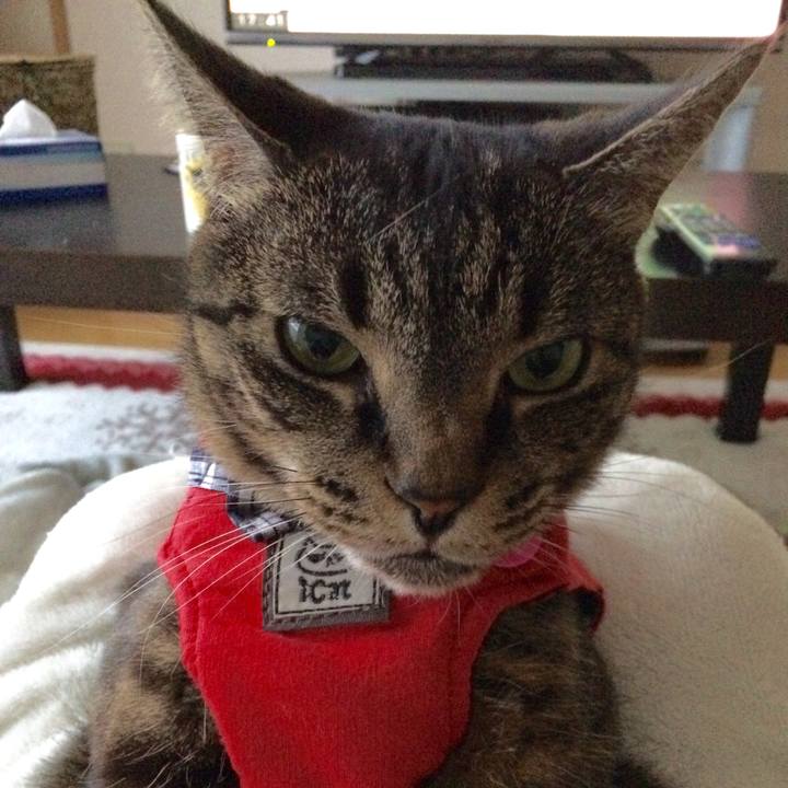 A181d187 c54d 494c b247 a3a9a9cea81f