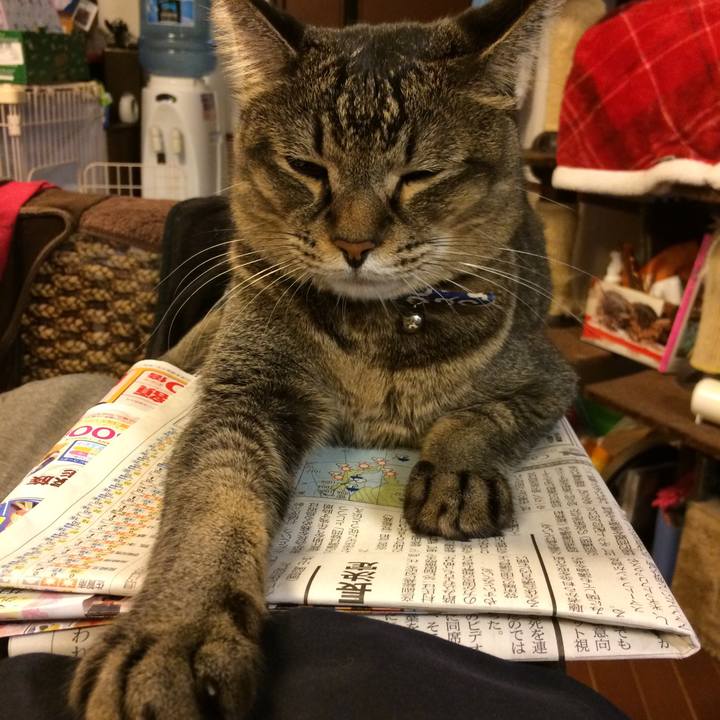 A182606a 3f70 44a5 a510 99f2c8a942dc