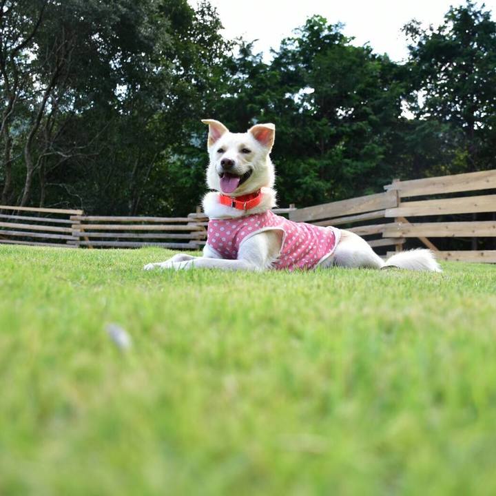 A18294d1 32be 40ee ab17 9af7042b839e