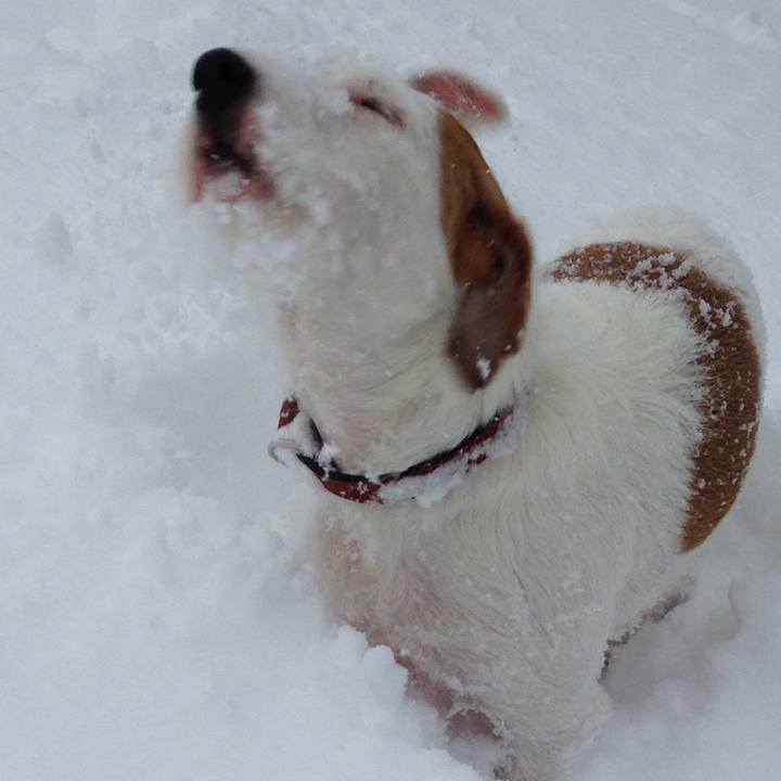 A183332c 5a03 4f58 ac59 1dfc84c8591e