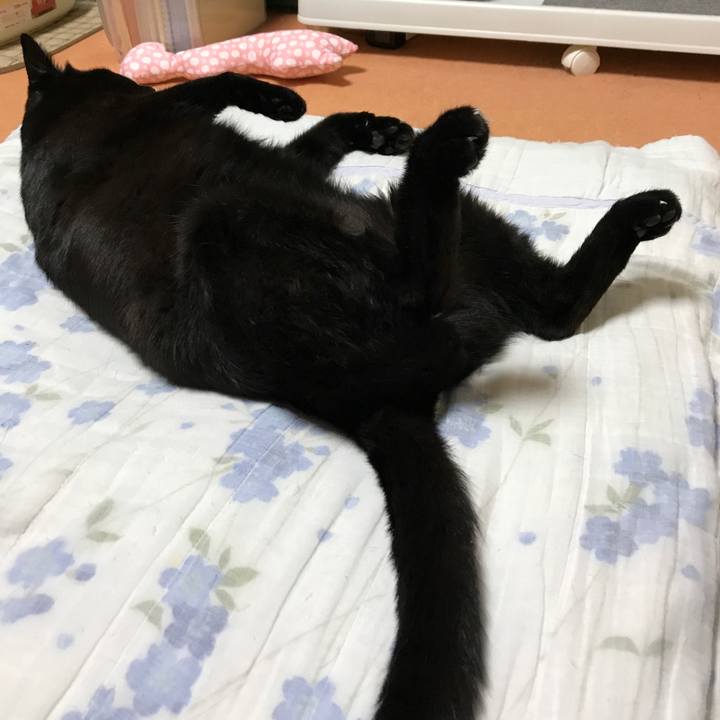 A183af37 8508 4996 b50d 283e0711eeb2