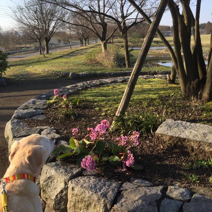 A184d222 6992 4960 a983 4d9462b67986