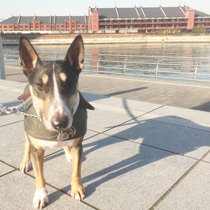 A18533fa 7bc8 440d ac52 310138056afd