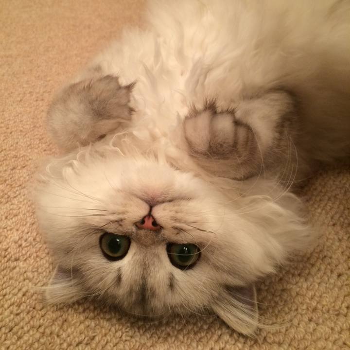 A1854053 33dc 4830 a7c0 0649a6f6ab84