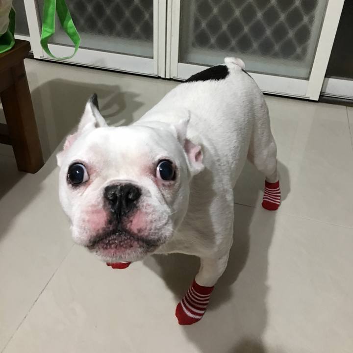 A18547c8 59bf 492a b75d 399d1e0e5e69